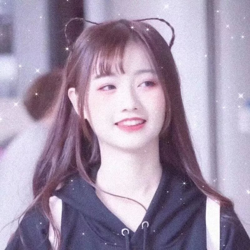 奇波和神奇动物的时代第三季